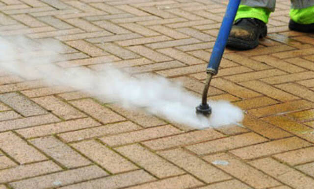 gum removal in woodlands